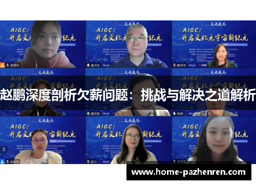 赵鹏深度剖析欠薪问题：挑战与解决之道解析