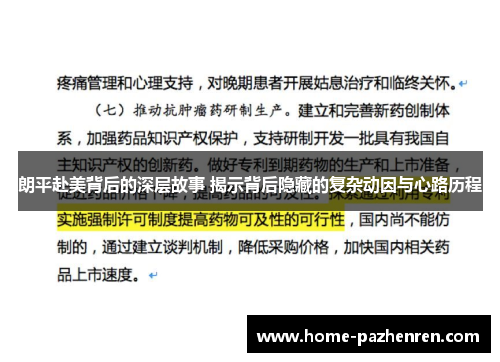 朗平赴美背后的深层故事 揭示背后隐藏的复杂动因与心路历程