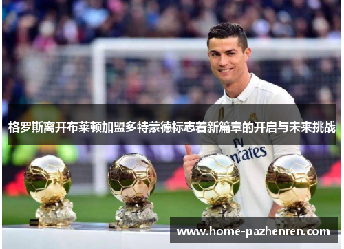 格罗斯离开布莱顿加盟多特蒙德标志着新篇章的开启与未来挑战