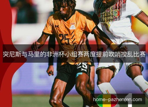 突尼斯与马里的非洲杯小组赛两度提前吹哨搅乱比赛 突尼斯与马里的非洲杯小组赛两度提前吹哨搅乱比赛
